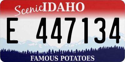 ID license plate E447134