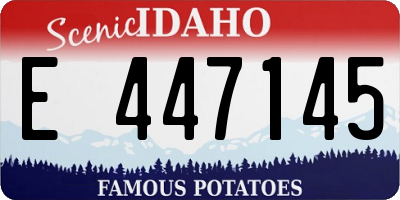 ID license plate E447145