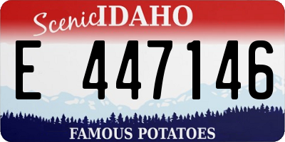 ID license plate E447146
