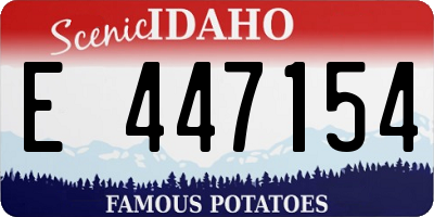 ID license plate E447154