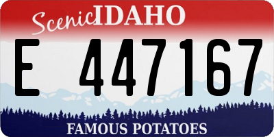 ID license plate E447167