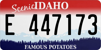 ID license plate E447173
