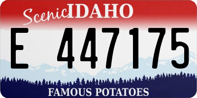 ID license plate E447175