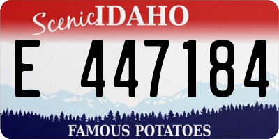ID license plate E447184