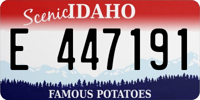 ID license plate E447191