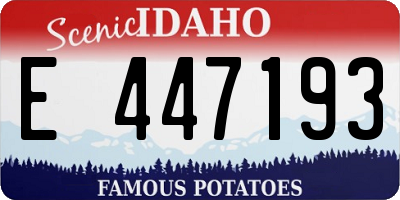 ID license plate E447193