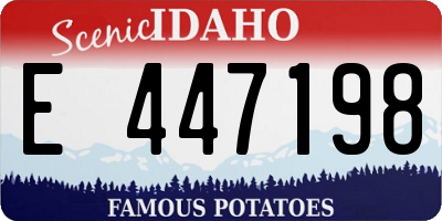 ID license plate E447198