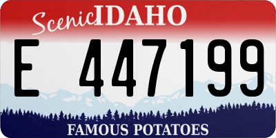 ID license plate E447199