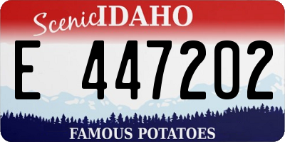 ID license plate E447202