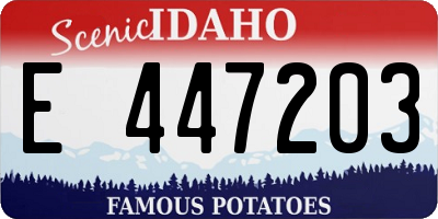 ID license plate E447203