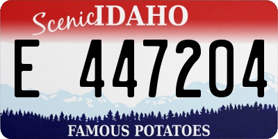 ID license plate E447204