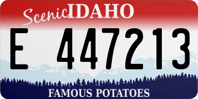 ID license plate E447213