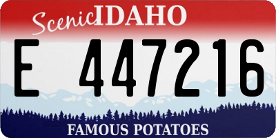 ID license plate E447216