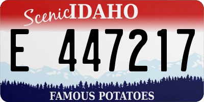 ID license plate E447217