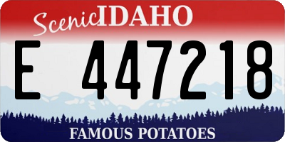 ID license plate E447218