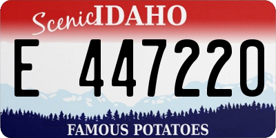 ID license plate E447220