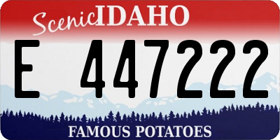 ID license plate E447222