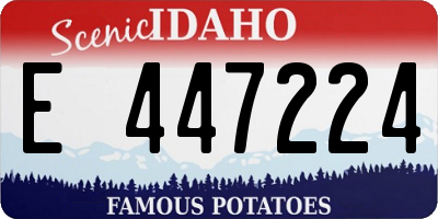 ID license plate E447224