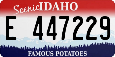 ID license plate E447229