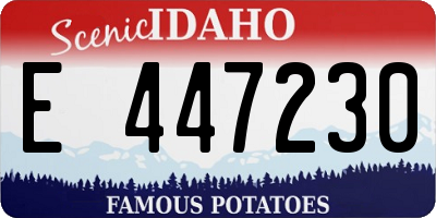 ID license plate E447230