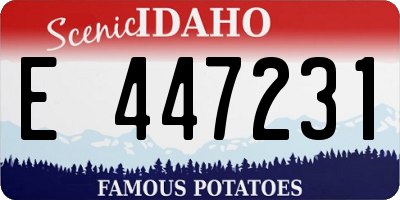ID license plate E447231