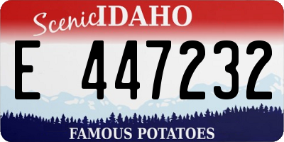 ID license plate E447232