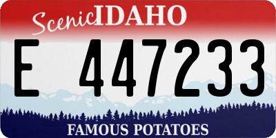 ID license plate E447233