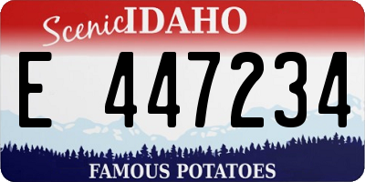 ID license plate E447234