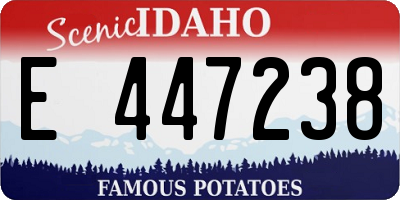 ID license plate E447238