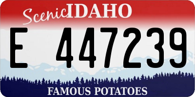 ID license plate E447239