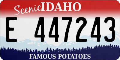 ID license plate E447243