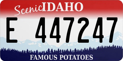 ID license plate E447247