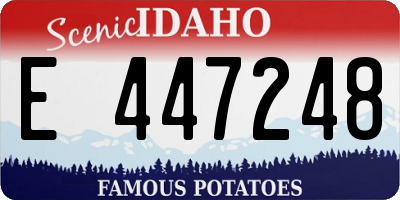 ID license plate E447248