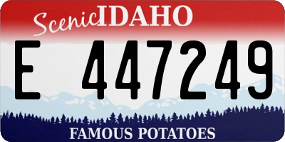 ID license plate E447249