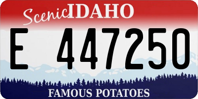 ID license plate E447250