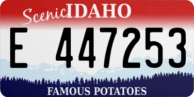 ID license plate E447253