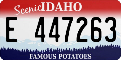 ID license plate E447263