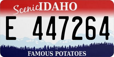 ID license plate E447264