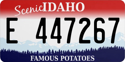 ID license plate E447267