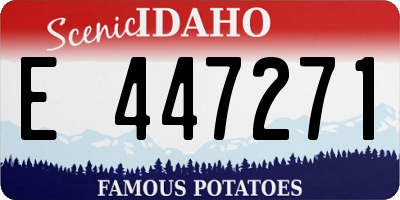 ID license plate E447271