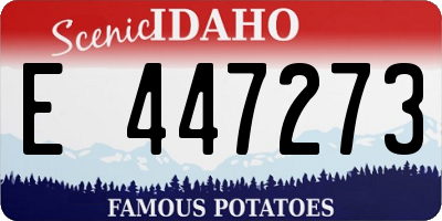 ID license plate E447273