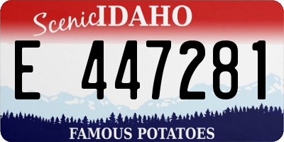 ID license plate E447281