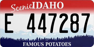 ID license plate E447287