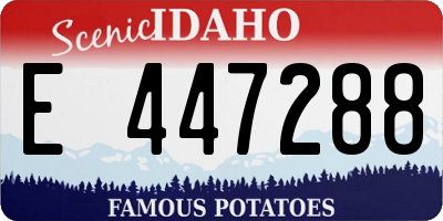 ID license plate E447288