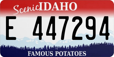 ID license plate E447294