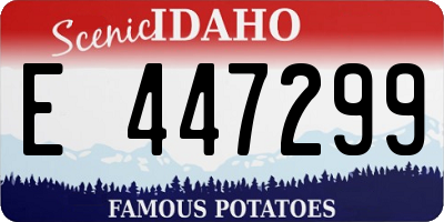 ID license plate E447299