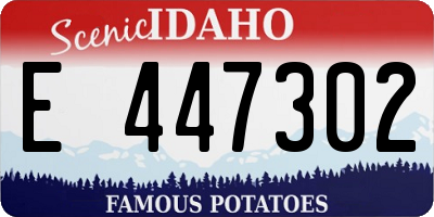 ID license plate E447302