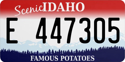 ID license plate E447305