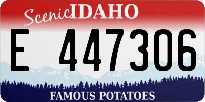 ID license plate E447306