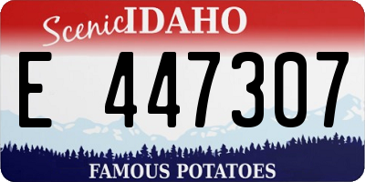 ID license plate E447307